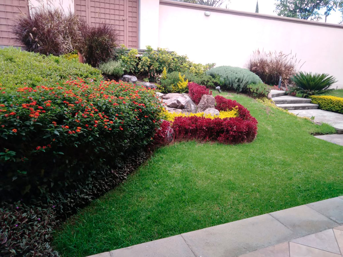 JARDINES COLORIDOS
