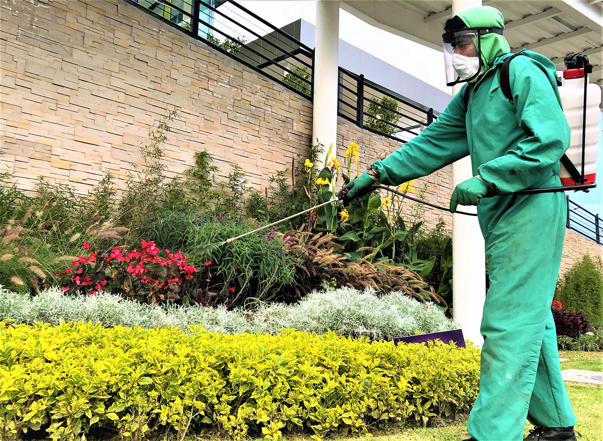 FUMIGACIÓN CONTRA HONGOS