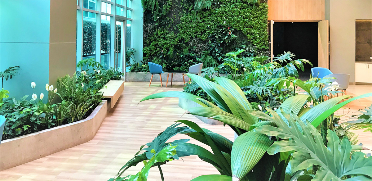 JARDINES DE INTERIOR