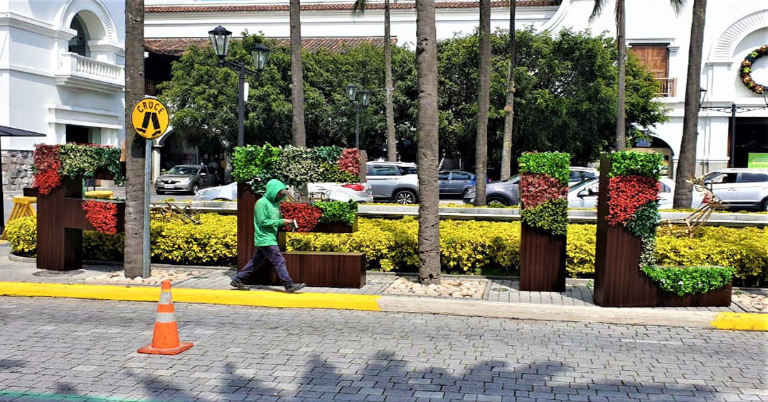 CONSTRUCCIÓN DE JARDINES VERTICALES 