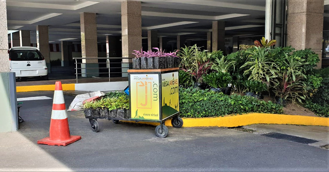 MANTENIMIENTO DE JARDINES