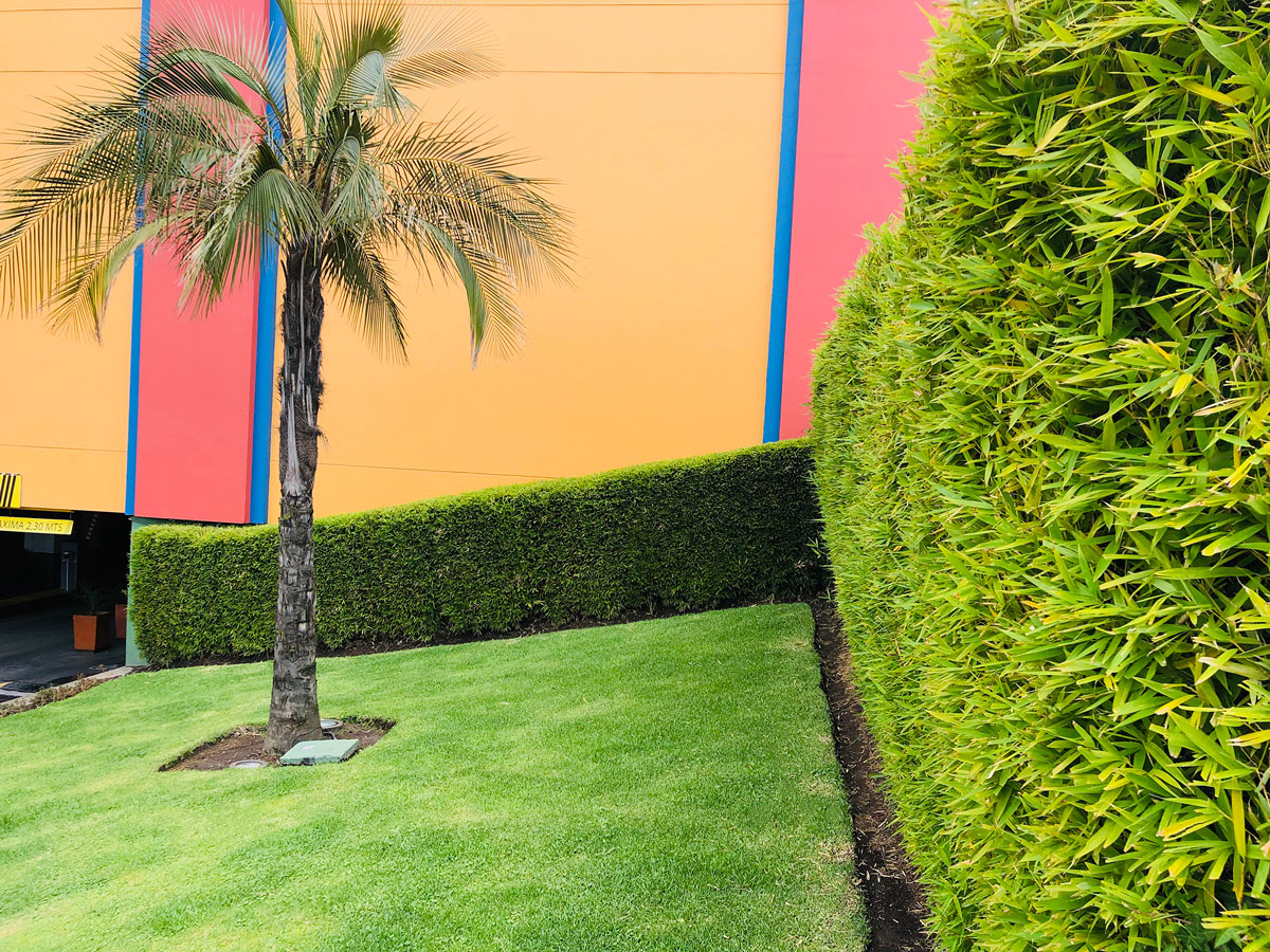 MANTENIMIENTO DE CÉSPED Y CETOS